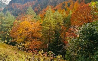 Cuando llega el frío: cómo preparar una segunda residencia en el Pirineo